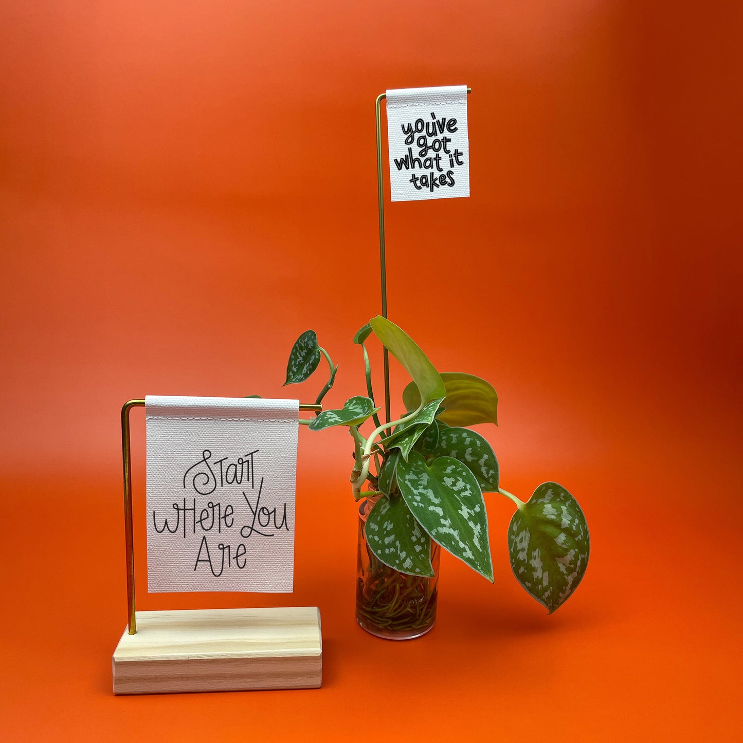 You've Got What It Takes Canvas Banner