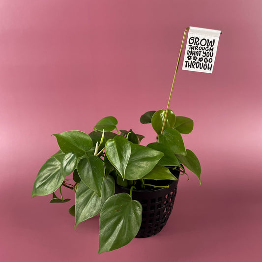 Grow Through What You Go Through Canvas Banner